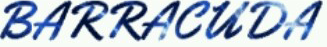 barracuda