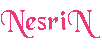 nesrin