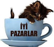 .pazar.
